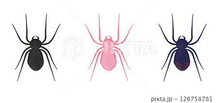 かっこかわいい蜘蛛のイラストセット 126758781