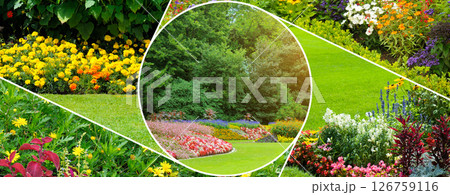 Flowerbeds in gardens and parks. Collage. Mosaic pattern. Flowerbeds in gardens and parks. Collage. Mosaic pattern. 126759116