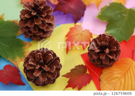 松ぼっくりと紅葉した葉っぱ（秋イメージ） 126759609