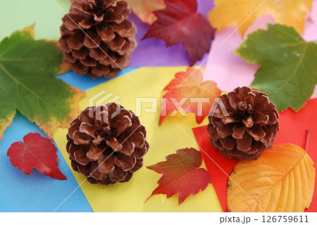 松ぼっくりと紅葉した葉っぱ（秋イメージ） 126759611