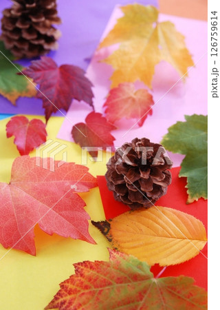 松ぼっくりと紅葉した葉っぱ（秋イメージ） 126759614
