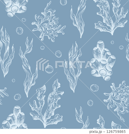 Marine underwater clip art with shells, sea sponges, corals, starfish, pebbles, seaweed, fish, bubbles. Graphic illustration hand drawn in white ink. Seamless pattern on a blue background EPS vector 126759865