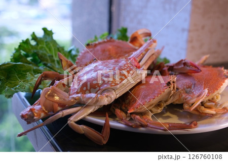 Crabs plate lettuce Thai-style stir-fried crab with bell peppers and onions on a bed of lettuce. Crabs plate lettuce Thai-style stir-fried crab with bell peppers and onions on a bed of lettuce. 126760108