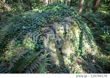 本林石丁場群　築城石 126760170