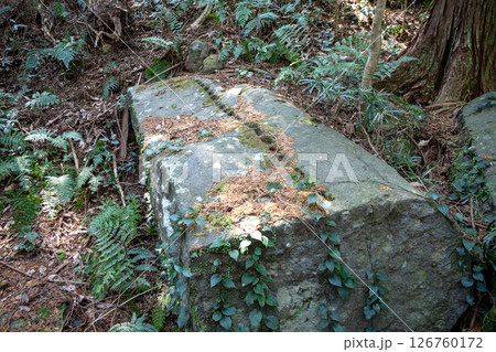 本林石丁場に残る築城石 126760172