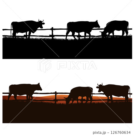 grazing cows and farm fence vector silhouette scene grazing cows and farm fence vector silhouette scene 126760634