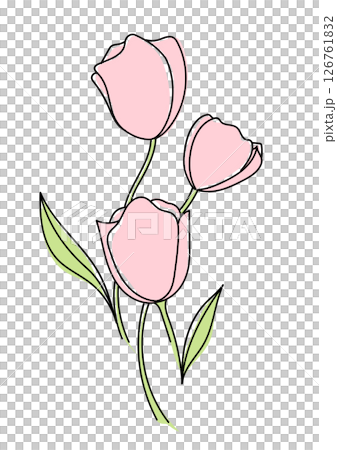 韓式線描鬱金香插畫 韓式線描鬱金香插畫 126761832