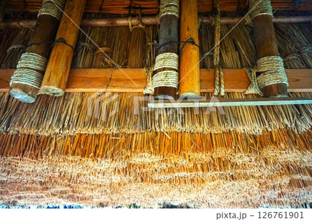 茅葺屋根 内側 民宿 志みづ 荻町合掌造り集落 世界文化遺産 白川郷 茅葺 茅葺屋根 内側 民宿 志みづ 荻町合掌造り集落 世界文化遺産 白川郷 茅葺 126761901