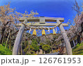 神社の鳥居越しに見える桜と青空 126761953