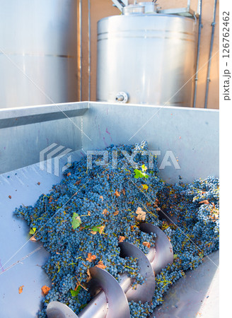 corkscrew crusher destemmer winemaking with grapes 126762462