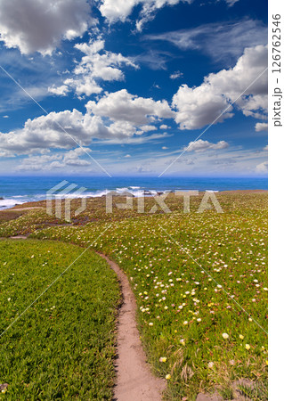 California Pigeon point beach in Cabrillo Hwy coastal hwy 1 126762546