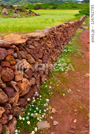 Masonry stonewall in spring with flowers Menorca Masonry stonewall in spring with flowers Menorca 126762795