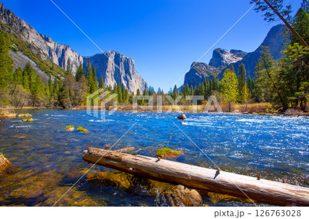 Yosemite Merced River el Capitan and Half Dome 126763028