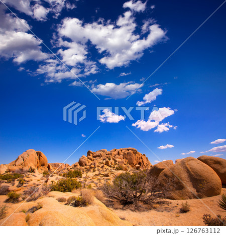 Skull rock in Joshua tree National Park Mohave California Skull rock in Joshua tree National Park Mohave California 126763112