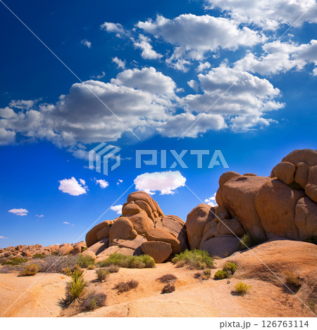Skull rock in Joshua tree National Park Mohave California Skull rock in Joshua tree National Park Mohave California 126763114