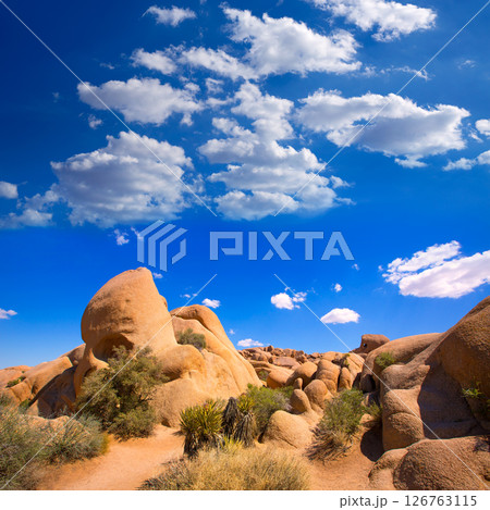 Skull rock in Joshua tree National Park Mohave California Skull rock in Joshua tree National Park Mohave California 126763115