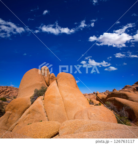 Skull rock in Joshua tree National Park Mohave California 126763117