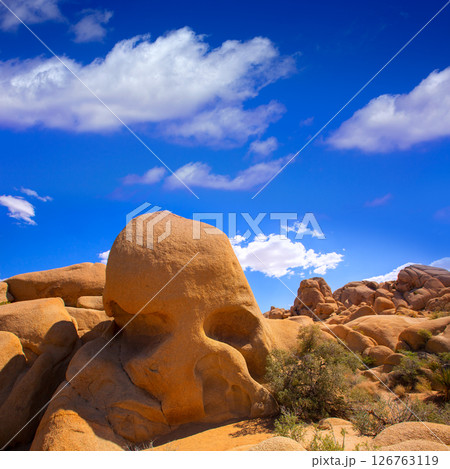 Skull rock in Joshua tree National Park Mohave California 126763119