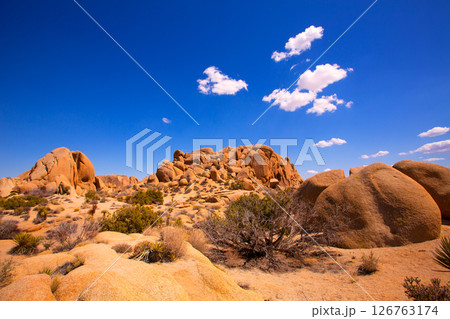 Skull rock in Joshua tree National Park Mohave California Skull rock in Joshua tree National Park Mohave California 126763174