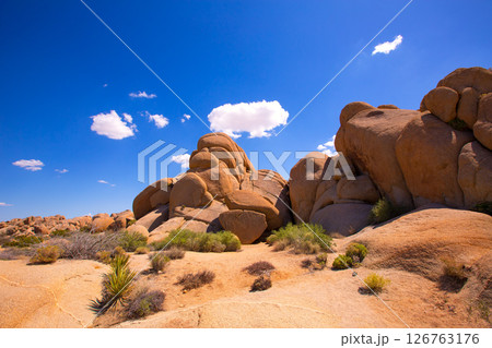 Skull rock in Joshua tree National Park Mohave California Skull rock in Joshua tree National Park Mohave California 126763176