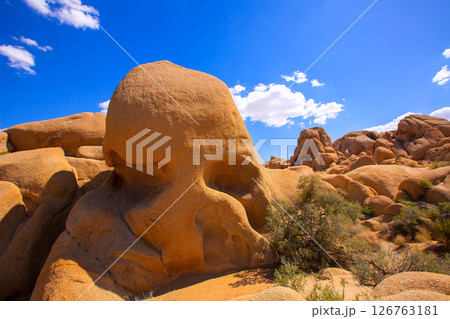 Skull rock in Joshua tree National Park Mohave California 126763181
