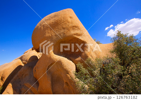 Skull rock in Joshua tree National Park Mohave California 126763182