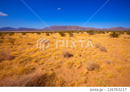 Mohave desert in California Yucca Valley Mohave desert in California Yucca Valley 126763217