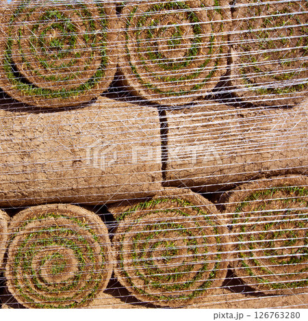 Natural grass turf lawn in rolls stacked 126763280