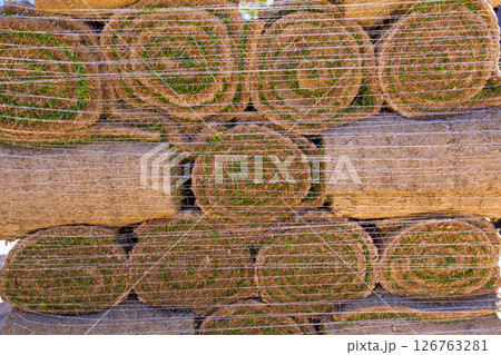 Natural grass turf lawn in rolls stacked 126763281