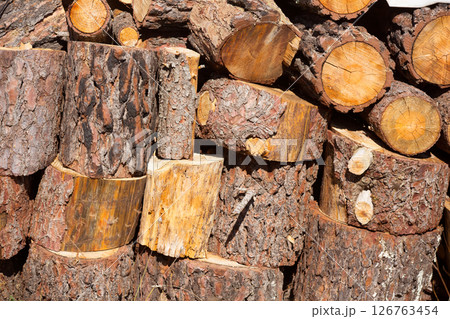 firewood of pine tree stacked in a row firewood of pine tree stacked in a row 126763454