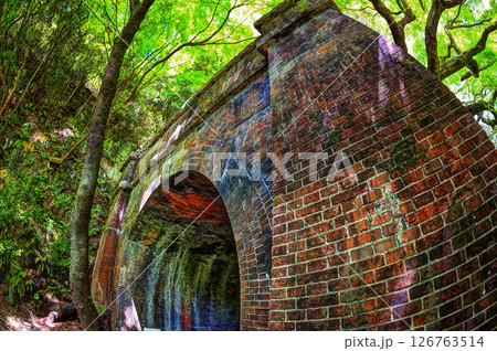 新緑のトンネルを見上げる 126763514