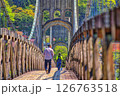 新緑の吊り橋を歩く人 126763518
