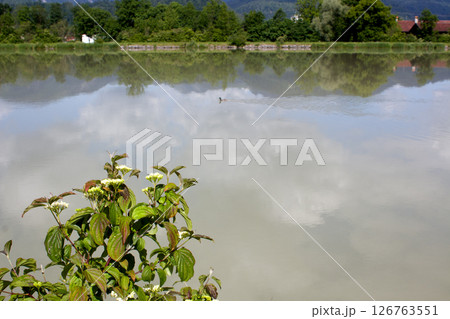Calm water reflections at Ebbs Inn in Tyrol during a sunny day with scenic greenery and a serene atmosphere 126763551
