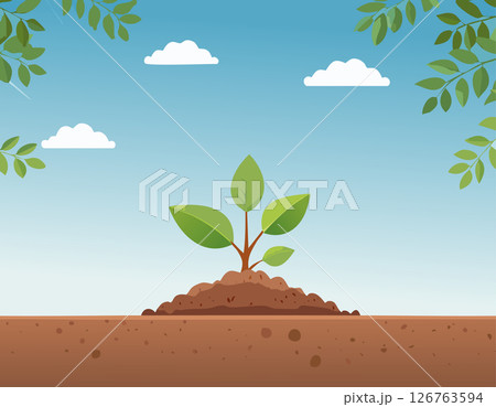 A simple sprouting plant growing in nature with leafy frame and blue sky, flat minimal style representing eco-conscious living and rebirth. 126763594