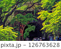 新緑の廃トンネルを歩く人びと 126763628
