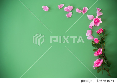 Branches of pink roses on a green background from above Branches of pink roses on a green background from above 126764074