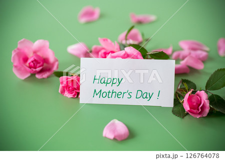 Branches of pink roses with gratitude on a green background Branches of pink roses with gratitude on a green background 126764078