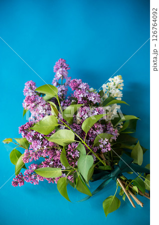 Bouquet of white and purple lilacs on a blue background 126764092