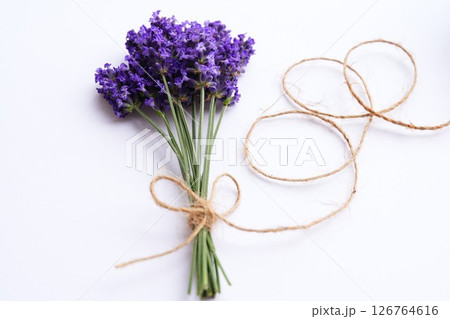 ラベンダーの花束 ラベンダーの花束 126764616