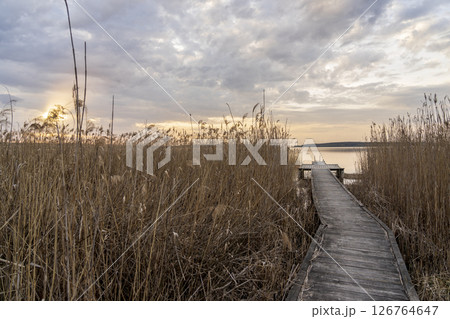 Lake Seksty. Landscape of Masuria in Poland, Karwik village in the Pisz area. 126764647