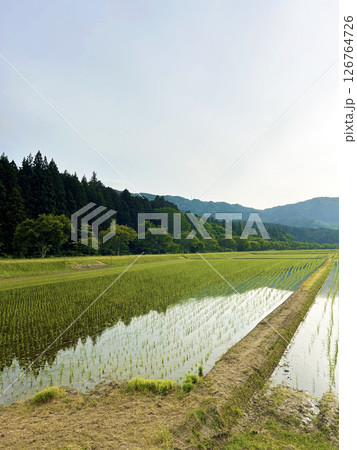 田んぼのある風景 田んぼのある風景 126764726