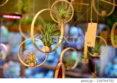空中庭園 植物 工場 126764782