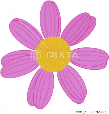 Beautiful shape and colors of purple blossom flower petals. Beautiful shape and colors of purple blossom flower petals. 126765023