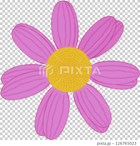 Beautiful shape and colors of purple blossom flower petals. Beautiful shape and colors of purple blossom flower petals. 126765023