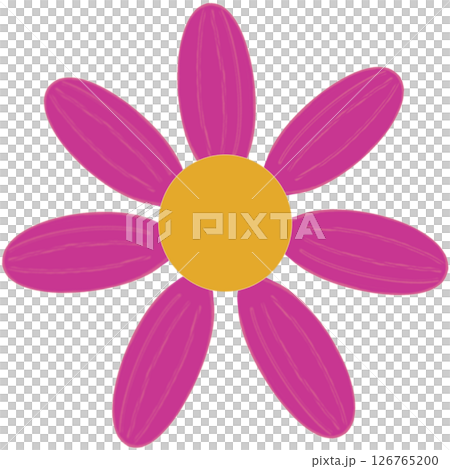 Beautiful shape and colors of purple blossom flower petals. 126765200