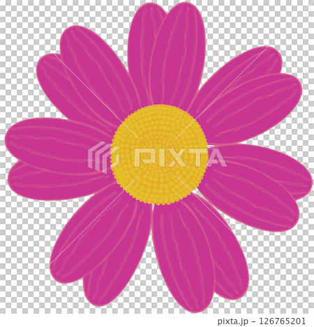 Beautiful shape and colors of purple blossom flower petals. Beautiful shape and colors of purple blossom flower petals. 126765201