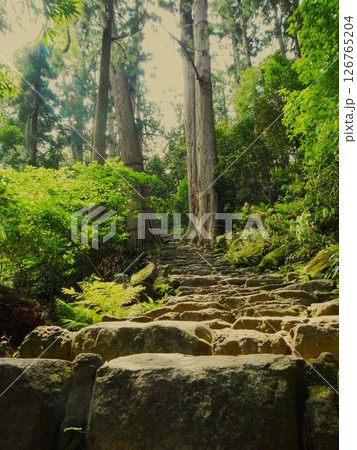 熊野古道　和歌山県　5 126765204