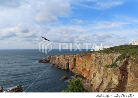 三段壁／白浜 126765207