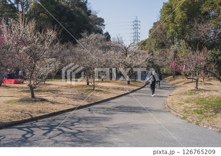 豊橋市にある向山緑地　梅林園の風景(愛知県) 126765209