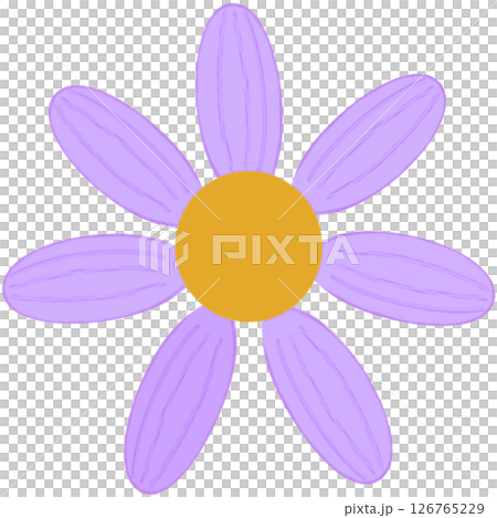 Beautiful shape and colors of purple blossom flower petals. Beautiful shape and colors of purple blossom flower petals. 126765229